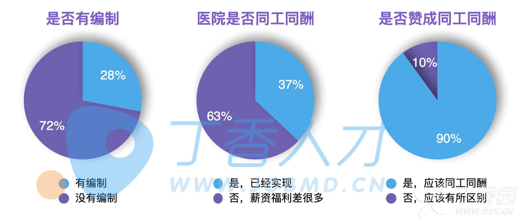 护士同工同酬最新动态，迈向公平与平等的关键步伐